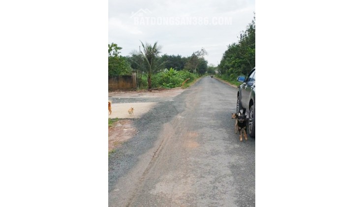 Ngộp lãi cắt lỗ sâu đất đường nhựa, tại xã Tân Đông,Tân Châu, Tây Ninh
